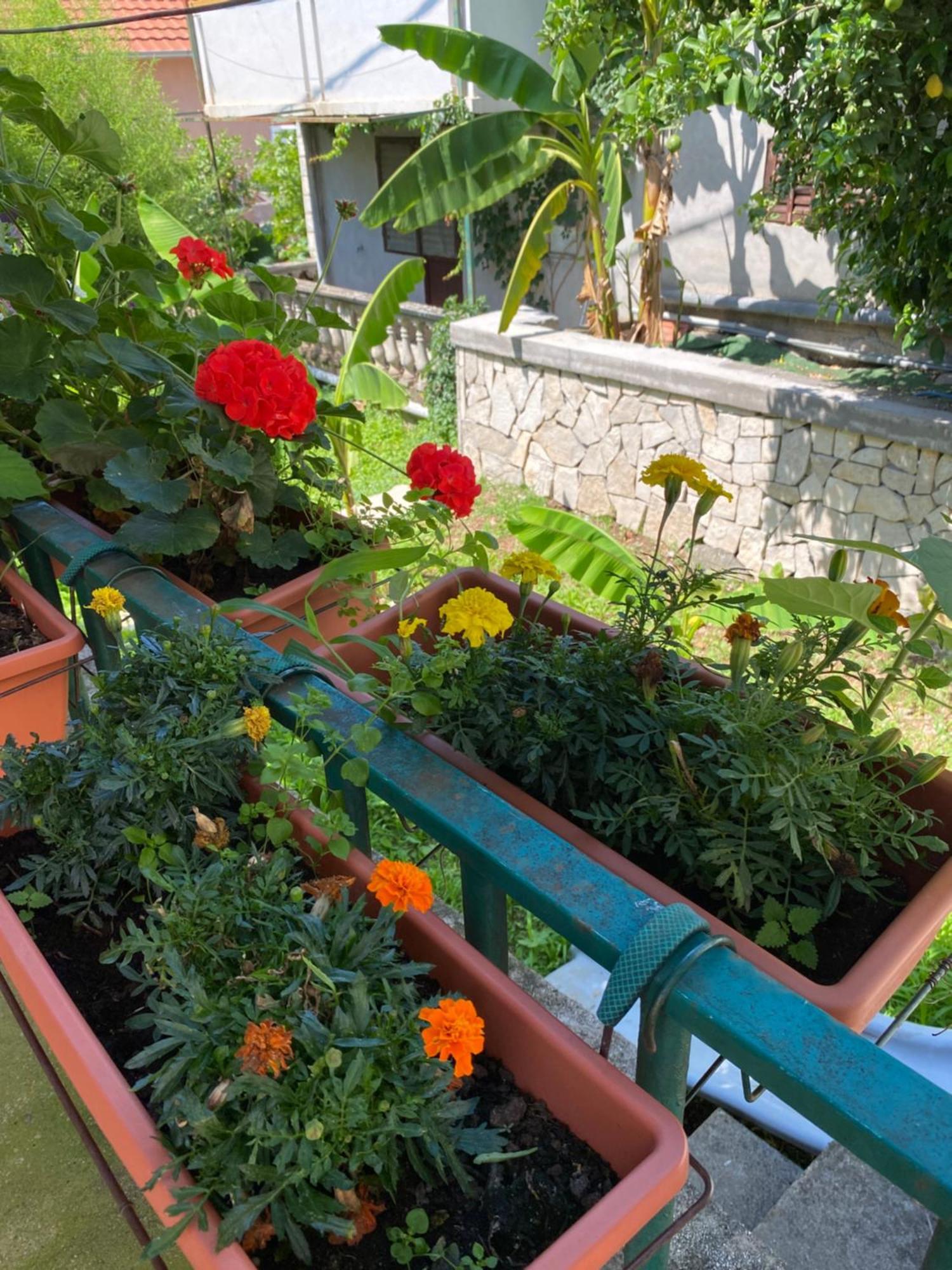 Ino Apartments Tivat Luaran gambar