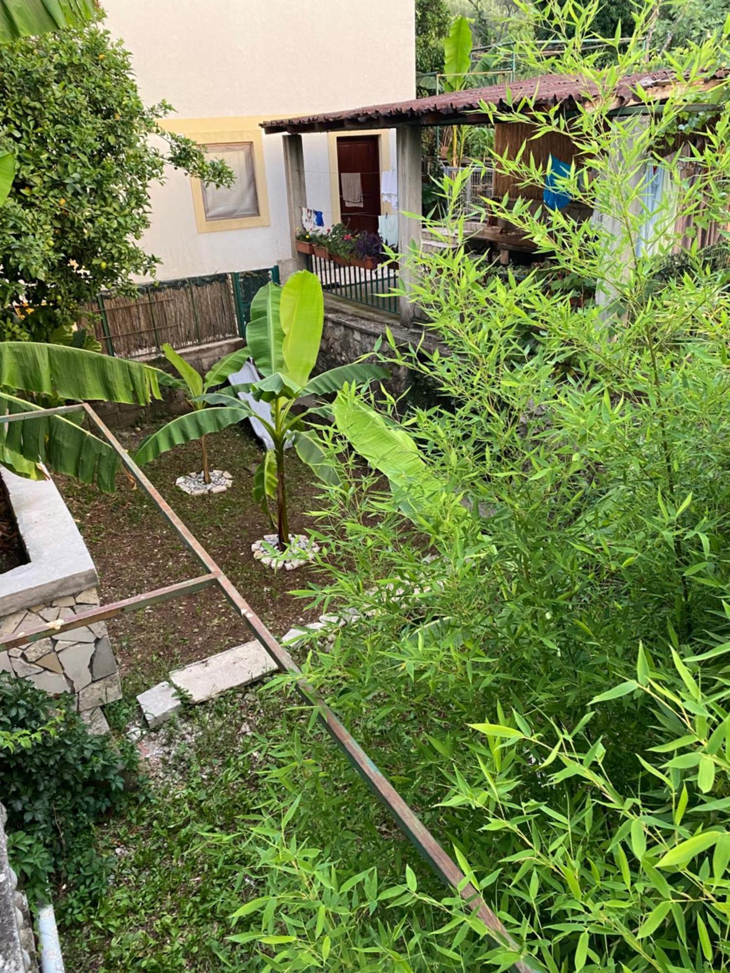 Ino Apartments Tivat Bilik gambar